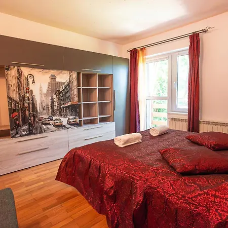 Zenvista Brasov