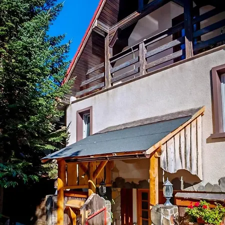 Zenvista Brasov